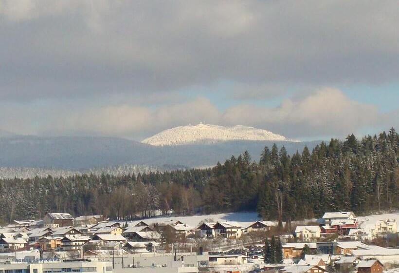 Пансион Drei Tannen