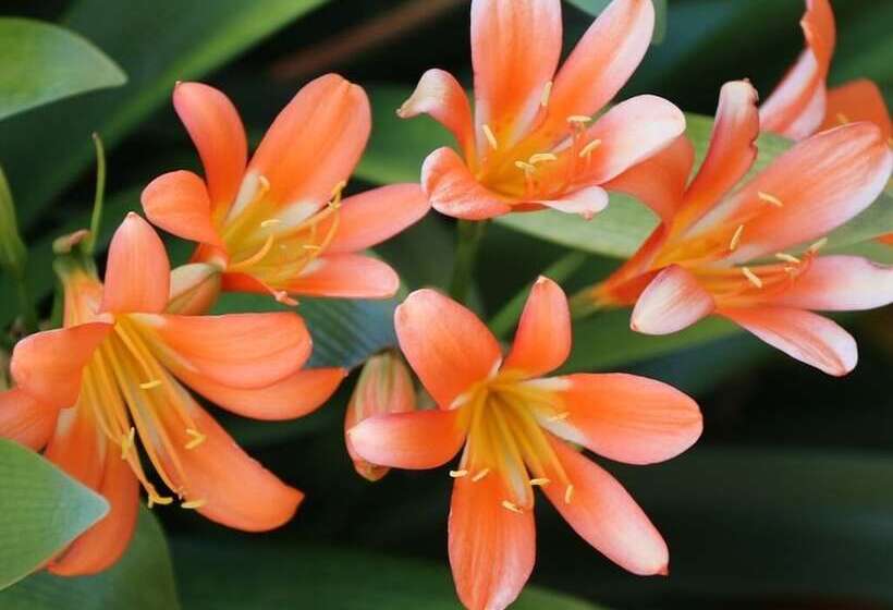 膳宿费 Gasthaus Tannenhof