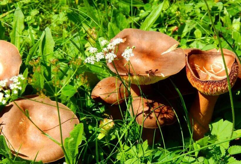 Пансион Gästehaus Kramer   Emde