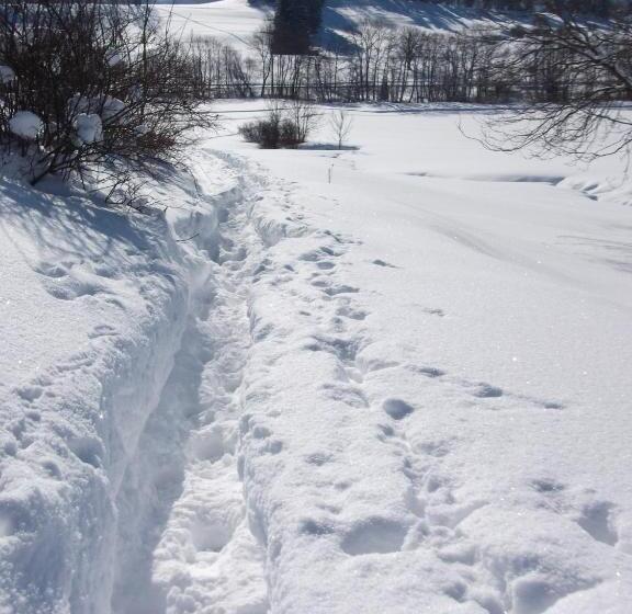 ペンション Gästehaus Schmid & Reitzner