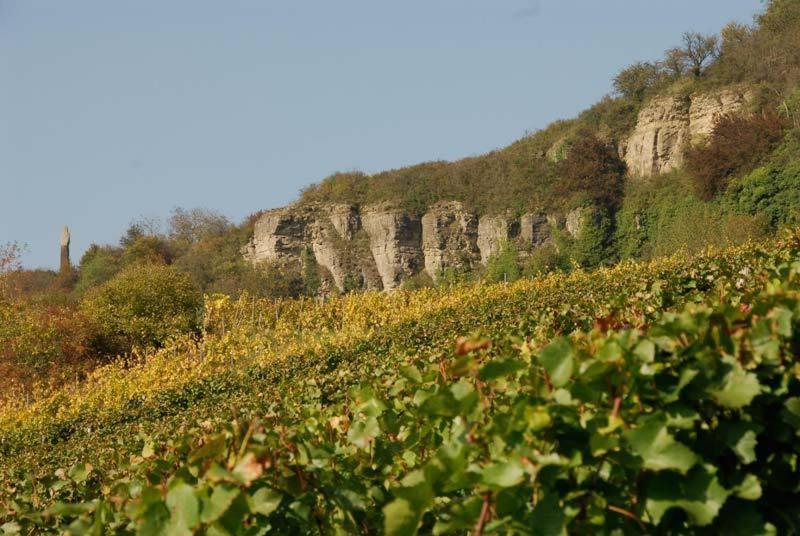 פנסיון Gästehaus Und Weingut Bernd Frieden