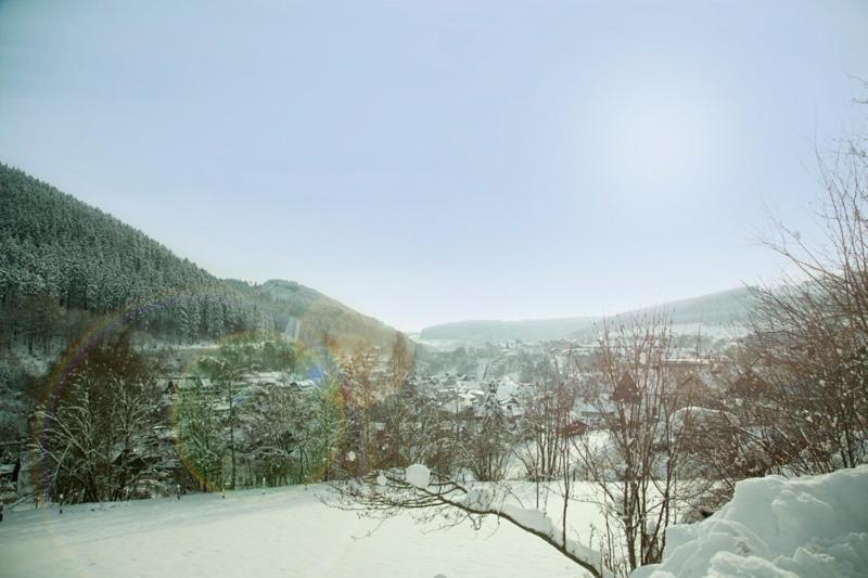 펜션 Haus Alexandra Inkl Meinecard Plus