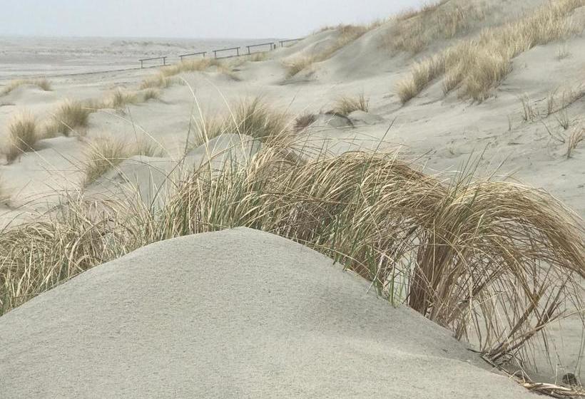 بنسيون Haus Köbesine