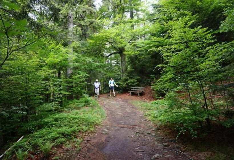 Пансион Haus Sonnenbichl