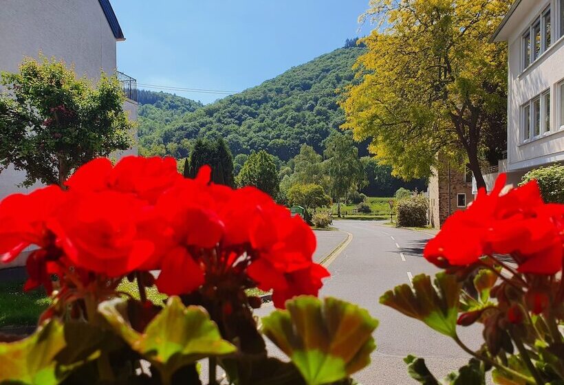 بنسيون Landgasthof Winzerscheune