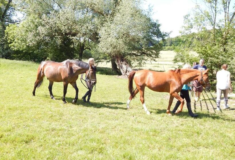 펜션 Reiter  Und Ferienhof Redder