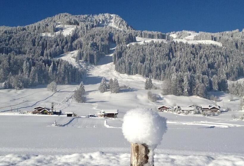 Пансион Riedbergerhorn Gasthof & Ferienwohnungen