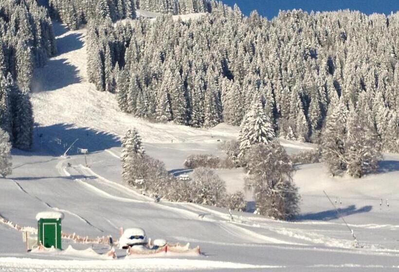 Пансион Riedbergerhorn Gasthof & Ferienwohnungen