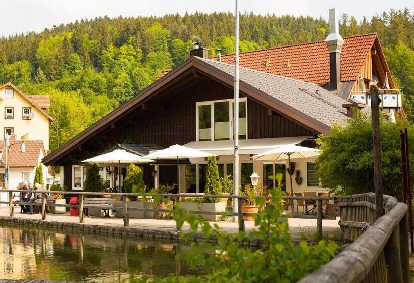 ペンション Self Check In Ferienwohnungen & Apartments Am Bergsee