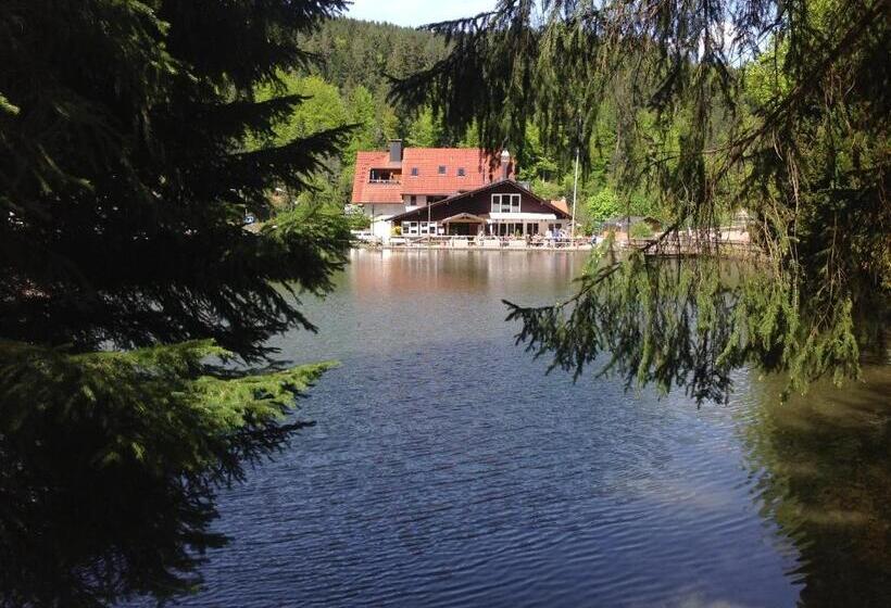 پانسیون Self Check In Ferienwohnungen & Apartments Am Bergsee