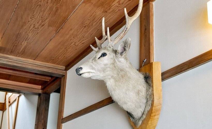 פנסיון Guest House Takazuri Kita