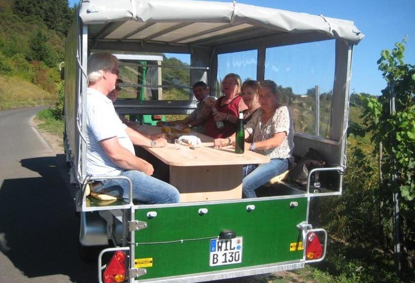 פנסיון Weingut Und Gästehaus Wolfgang Beth