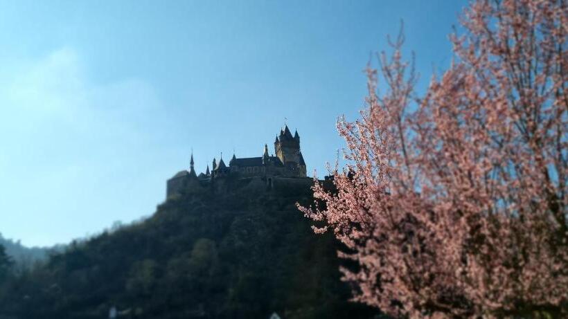 Pension Regina/gräfenhaus