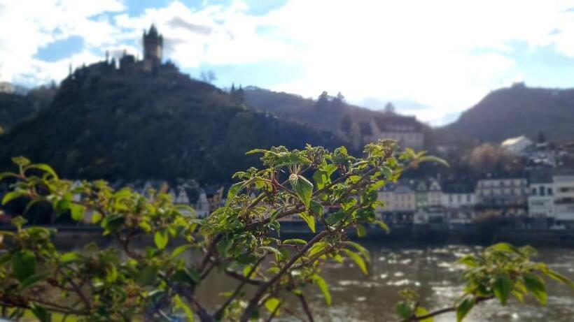 Pension Regina/gräfenhaus