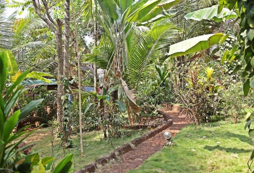 渡假胜地  Namaste Sanjeevini