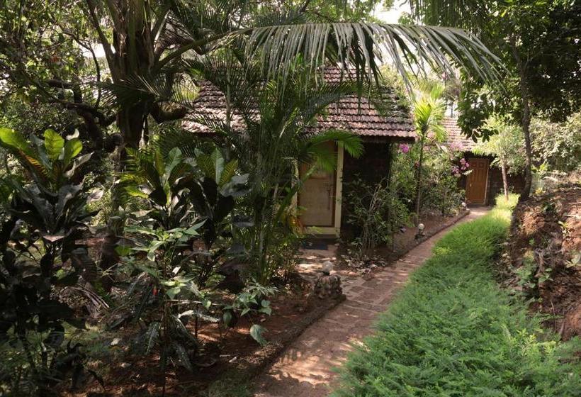 渡假胜地  Namaste Sanjeevini