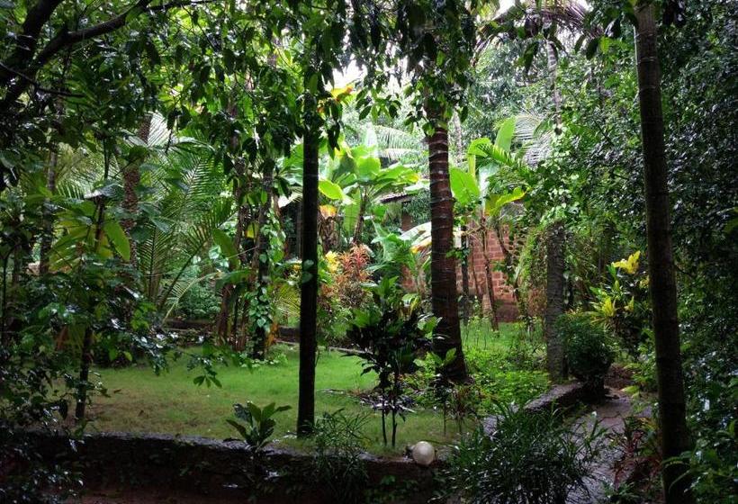 渡假胜地  Namaste Sanjeevini