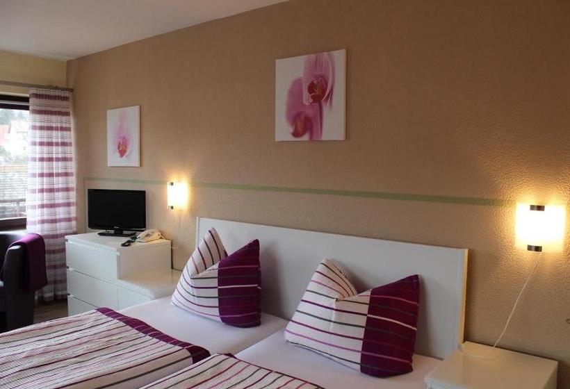 Saaletal Pension & Ferienwohnungen