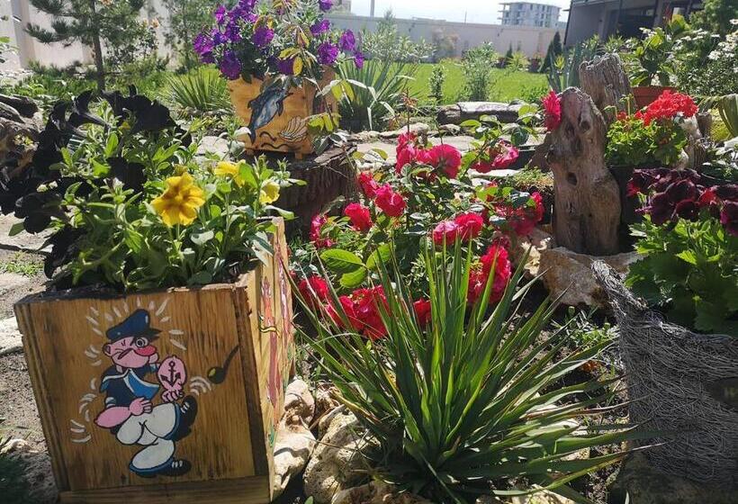 ホテル Dream Resort