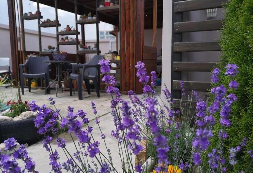 ホテル Dream Resort