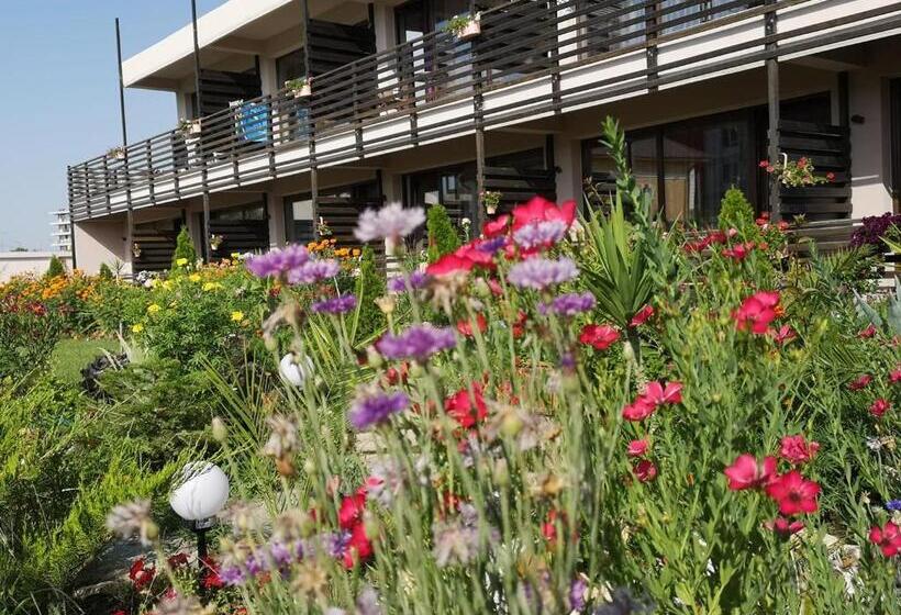 ホテル Dream Resort