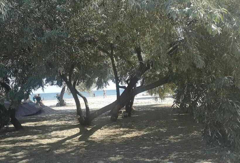 ホテル Dream Resort