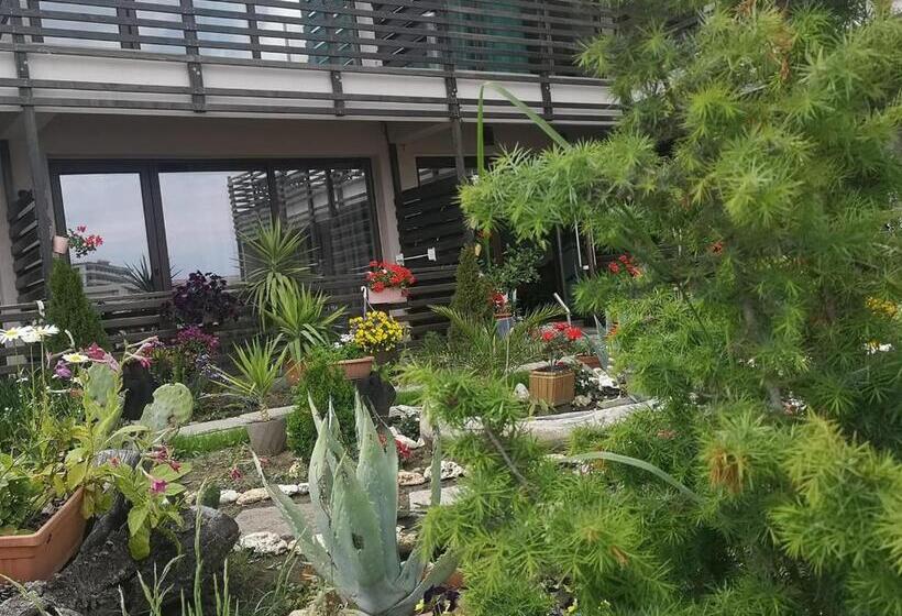 ホテル Dream Resort