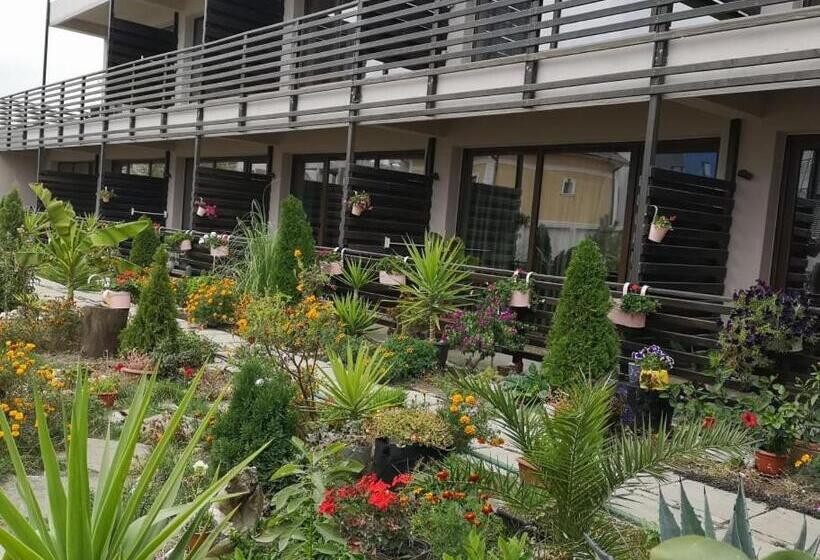 ホテル Dream Resort