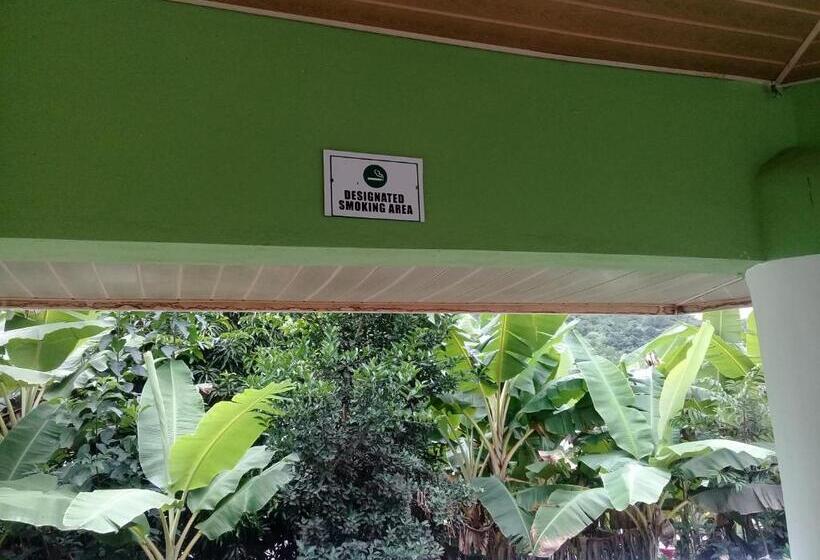 پانسیون 3a S Guest House