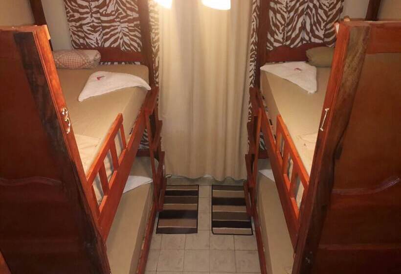 פנסיון Blasina Hostal   Hostel