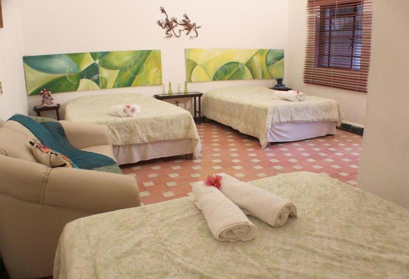 Пансион Casa Madero Rooms