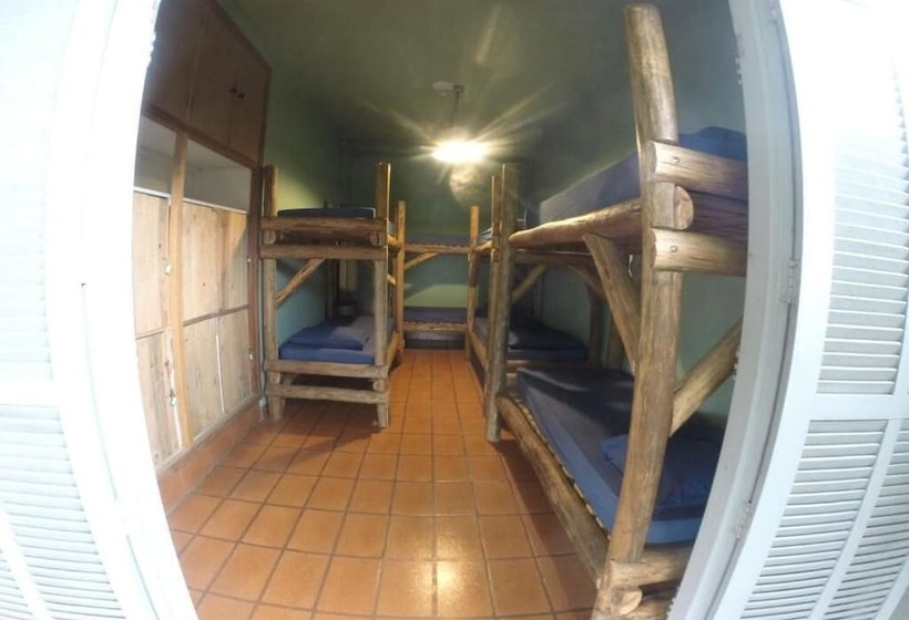 Пансион Down The River Hostel