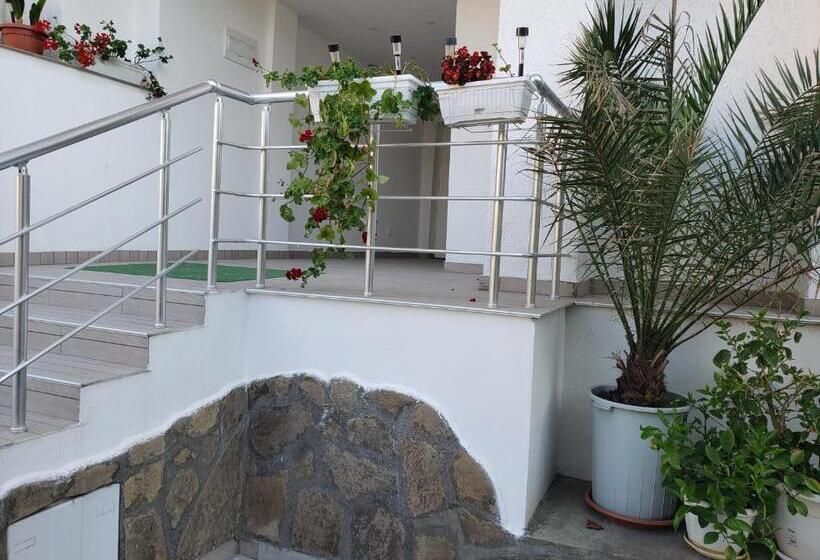 بنسيون Guest House Evtimov