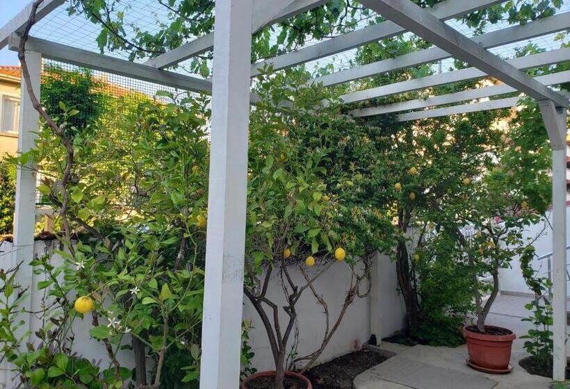 بنسيون Guest House Evtimov