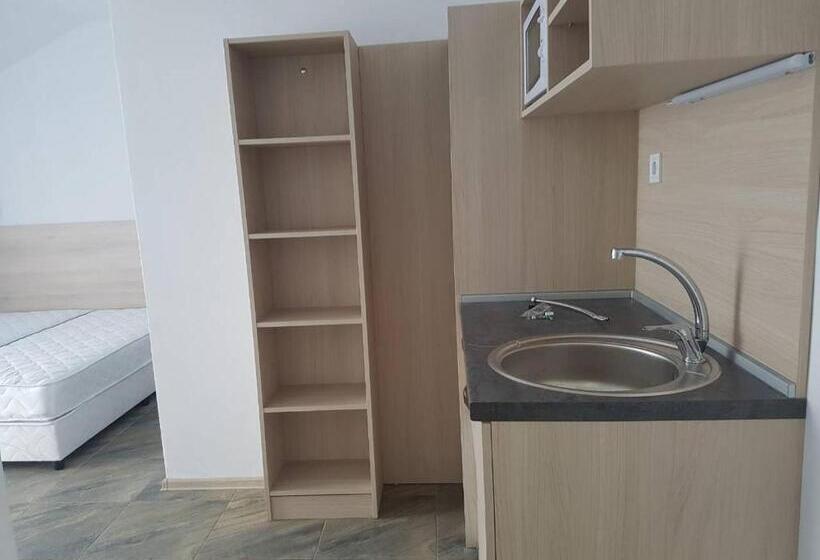 بنسيون Guest House Evtimov