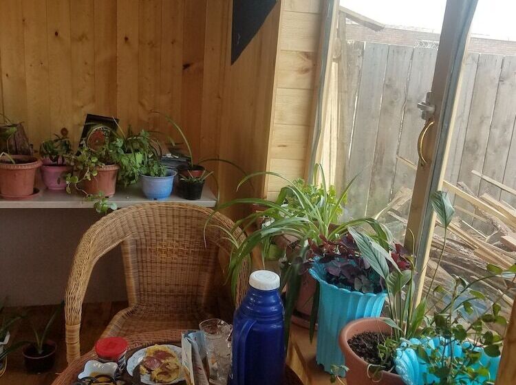 پانسیون Mountain View Guest House