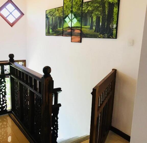 פנסיון Neli Guests House