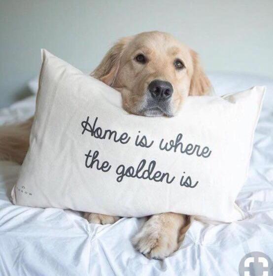 פנסיון The Mill