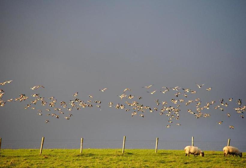 פנסיון The Mill