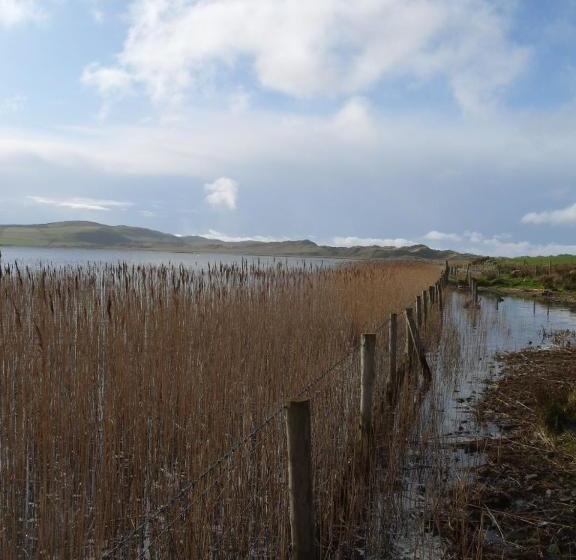 פנסיון The Mill