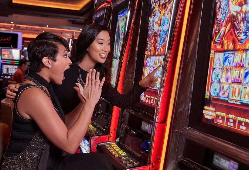 Live! Casino & Hotel   Baltimore Washington Airport – Bwi