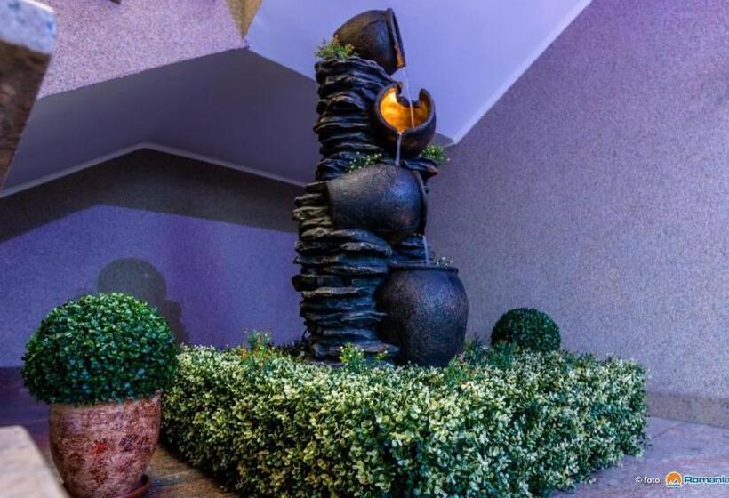 Пансион Anomis