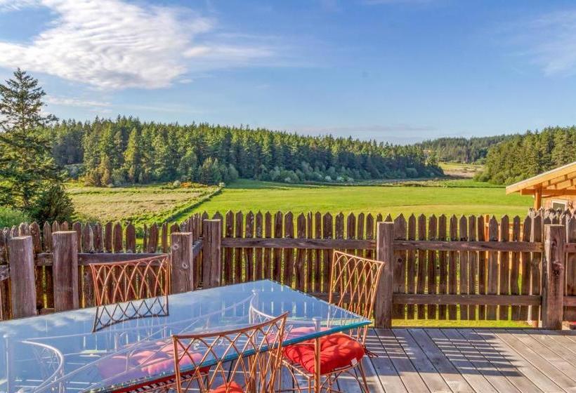 بنسيون Juniper Lane Guest House