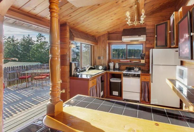 بنسيون Juniper Lane Guest House