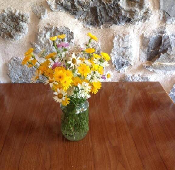 膳宿费 Guest House Panorama