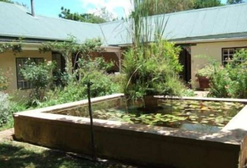 بنسيون High Hopes