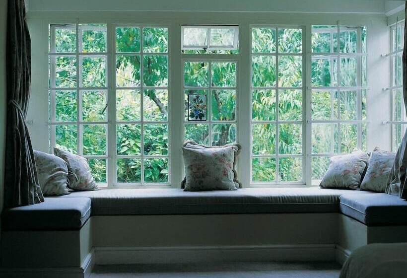 بنسيون High Hopes