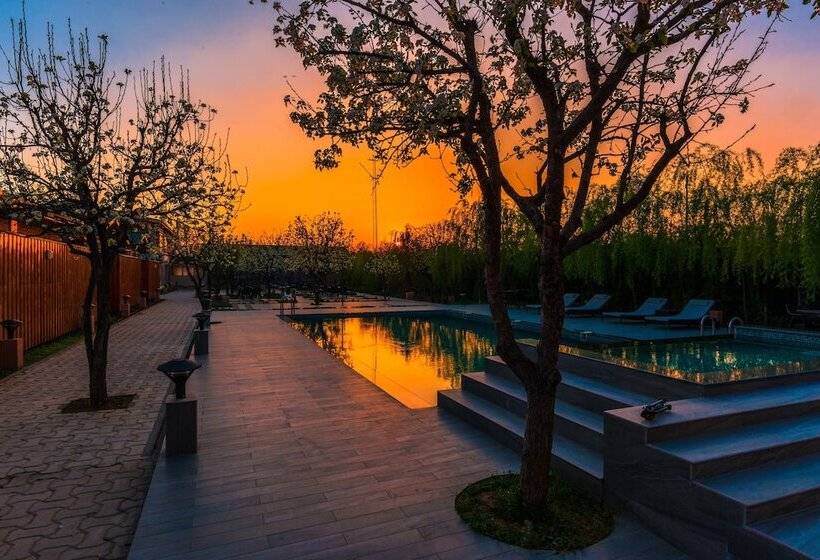 Resort The Orchard Retreat & Spa