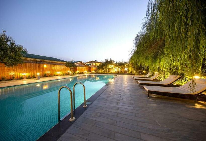 אתר נופש The Orchard Retreat & Spa