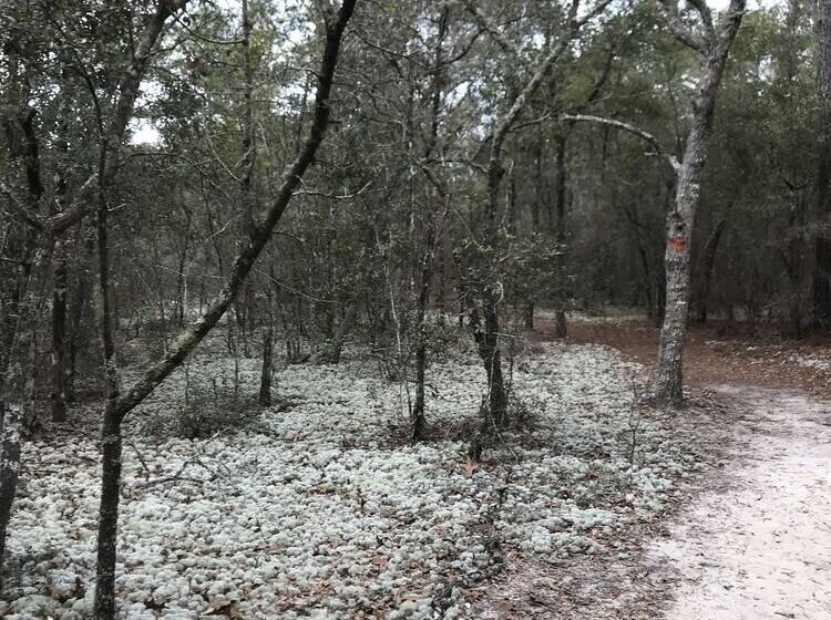 Tallahassee Sun & Moon   Hostel